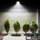 Outdoor wall spotlight for Yard night lighting