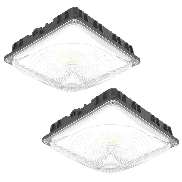 Easeking popular LED Canopy Lamp with Meanwell driver